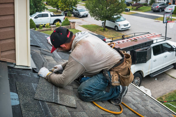 Professional Gutter Repair And Installation technician working in Delray, WV